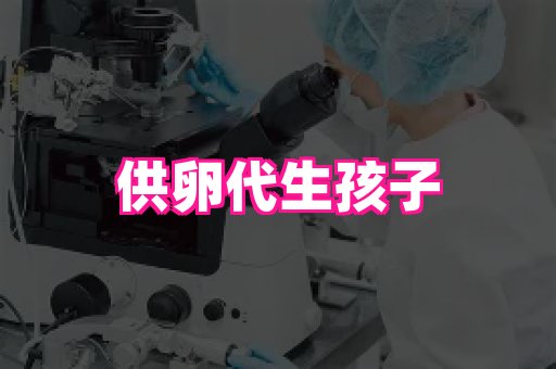 乐乐助孕网 2