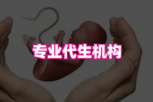 乐乐助孕网 4